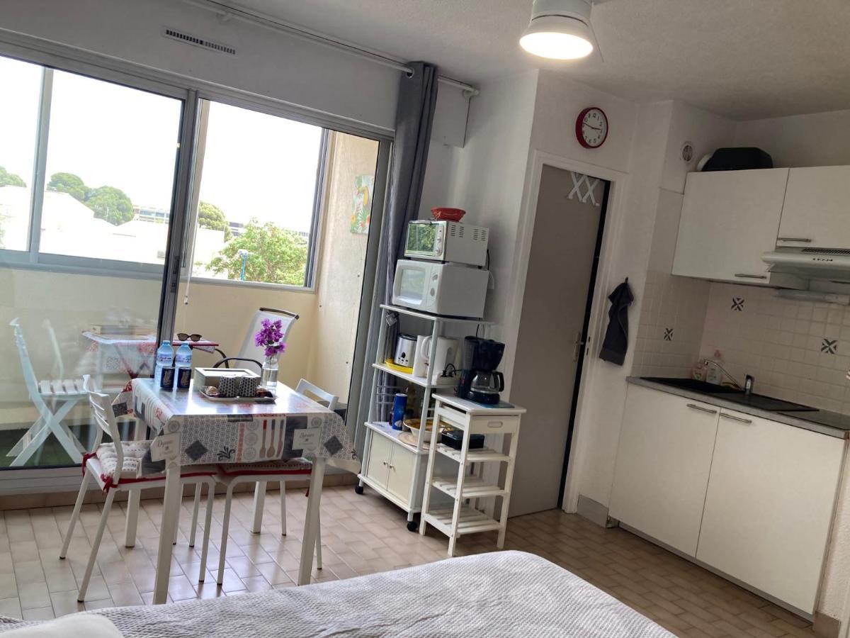 Confort Et Lumineux Avec Loggia Et Parking Apartment *